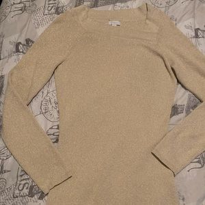 Beautiful and shiny stretch sweater